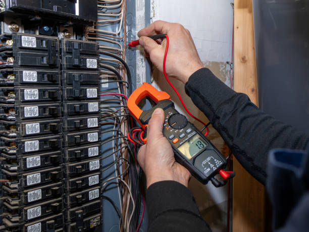 Best Electric Panel Repair  in Stafford, TX